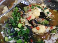-全乐鱼馆·淳牌有机鱼直营店
