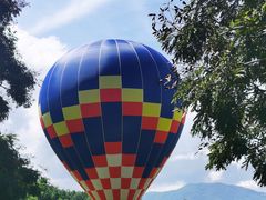 -中国科学院西双版纳热带植物园