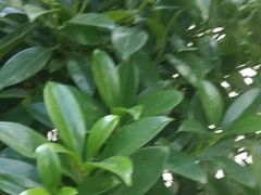 -宾朋海鲜美食餐厅·特色美食(兴海路店)