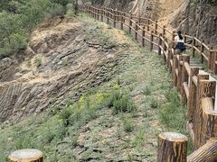 -白水寺森林公园