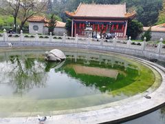 -顺峰山公园