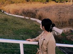 -佛手湖郊野公园