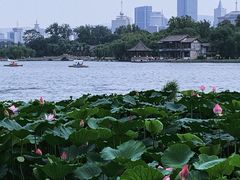 -济南大明湖景区