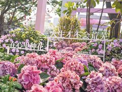 -云溪植物园