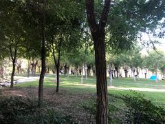-洨河生态公园