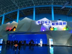 -泉城欧乐堡海洋极地世界