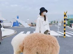 -Blue Concept Cafe&Farm·關於藍