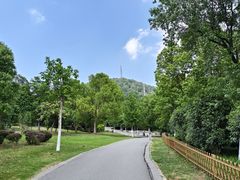 -合肥野生动物园