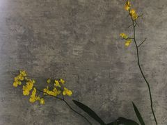-山下C5cafe(惠通时代广场店)