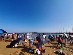 -碧海金沙