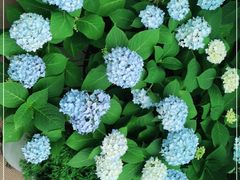 -La Terre乐田(万象城店)