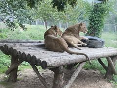 -西安秦岭野生动物园