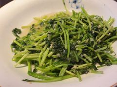 -鸽子窝(宋庄店)