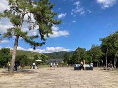 -奈良公园