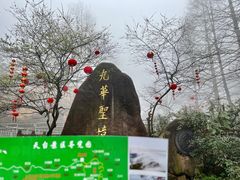 -九华山风景区