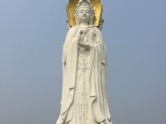 -白洋淀景区
