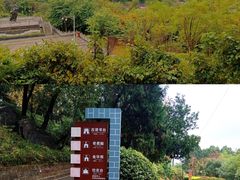 -子昂故里文化旅游区