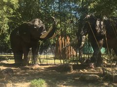 -揭东万竹园旅游景区