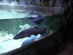 -左海海底世界