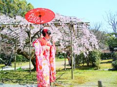 -京都和服体验 梦馆(五条店)