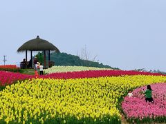 -径山花海