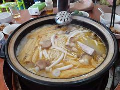 -15年老字号鑫鑫猪肚鸡·椰子鸡海南火锅(兴隆华侨农场店)