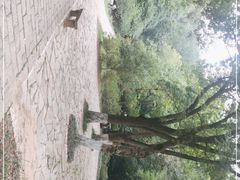 -南山风景名胜区