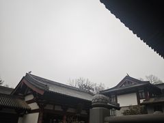 -灵谷景区