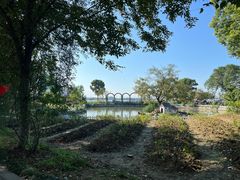 -鹅湖玫瑰文化园