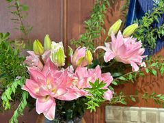 -叶叶菩提(太原别墅店)