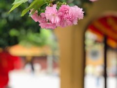 -龙华寺