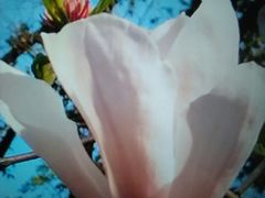 -云溪植物园