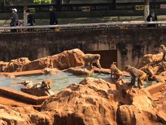 -昆明动物园