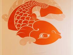 -阿五黄河大鲤鱼(纬三路店)