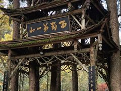 -青城山