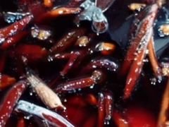 -安徽太和板面(临泓路店)