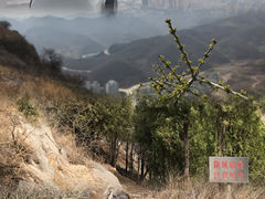 -博山九龙峪风景区
