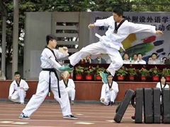 少儿跆拳道-威蒂斯国际健身游泳会所(东莞庄路店)