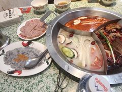 -肖婷姐大铁锅重庆火锅(南湖店)