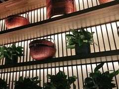 -盡膳口福跷脚牛肉火锅(北美新天地店)