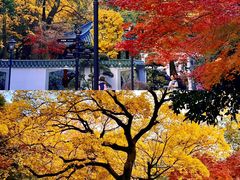 -中山公园