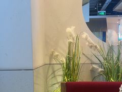 -蜜桃餐厅·伴山(绿宝广场店)