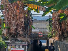 -广东圆玄道观