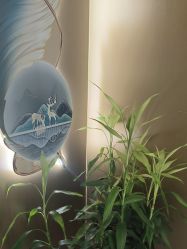 -金美秀养生瘦身