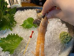 -初花·日本料理