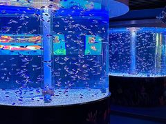 -海合安成都极地海洋公园