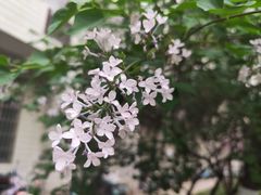 -山东大学(千佛山校区)