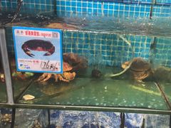 -范饭椰林川湘味海鲜·椰子鸡(三亚湾椰梦长廊店)