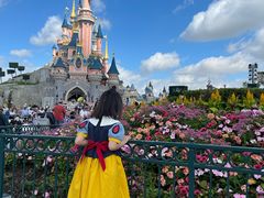 -巴黎迪士尼乐园