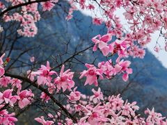 -九皇山景区